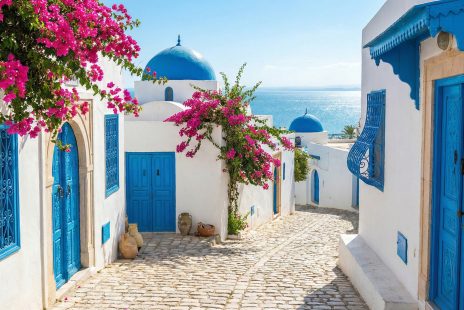 Mavi ve Beyazın Ülkesi: Tunus